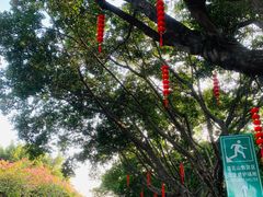 -广州莲花山旅游区