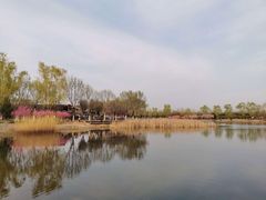 -永定河休闲森林公园