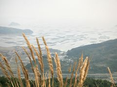 -北岐滩涂