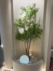 -VE专注问题肌·赛诺龙&科学美肤中心