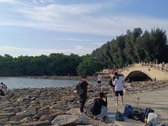 -宝安西湾红树林湿地公园