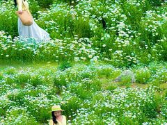 -汉长安城未央宫国家考古遗址公园