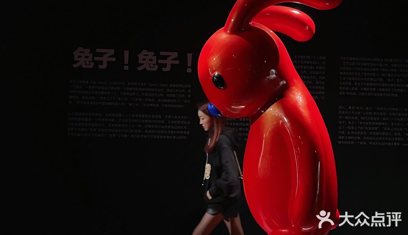 魔都看展宝龙美术馆兔子兔子