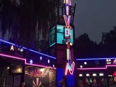 -枫花园汽车电影院(朝阳公园店)