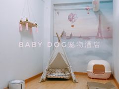 独立猫咪寄养室-BABYDOG宝贝狗宠物乐园(欧洲城店)
