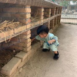 -上美四季动物农场