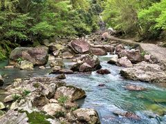 -宁波余姚老柿林山居度假村