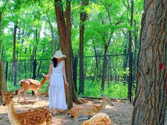 -南戴河国际娱乐中心