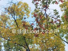 -北陵公园