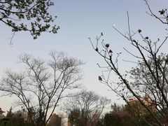 -经纬广场