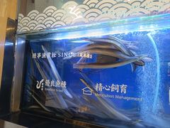 -鳗事鱼意·活鳗現烤专门店(富力海珠城店)