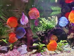 -上海海洋水族馆