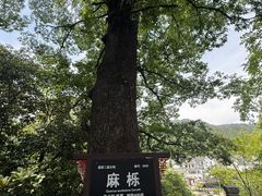 -绩溪龙川景区