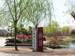 -洛阳市隋唐城遗址植物园