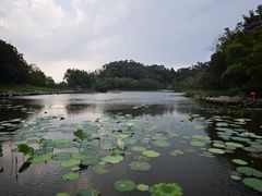 -国恩寺