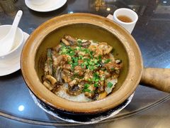 -红星光发煲仔饭(文海店)