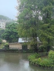 -爱帝宫月子中心(罗湖别墅院)