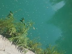 -贵阳市花溪国家城市湿地公园