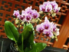 -泛太平洋大酒店·海天楼中餐厅·粤菜