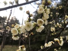 -洛阳市隋唐城遗址植物园