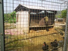 -河北村民俗体验园
