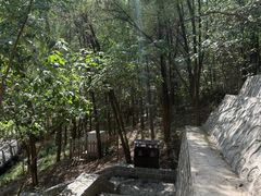 -白水寺森林公园