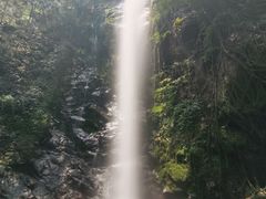 -莫里热带雨林景区