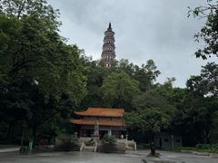 -顺峰山公园