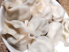 猪肉韭菜饺子-金谷园饺子馆(北邮总店)