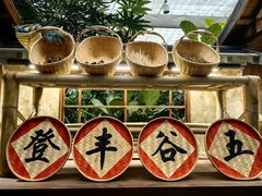-春满园生态餐厅(南宫路店)