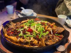 老板恋上鱼-老板恋上鱼(恒隆广场店)