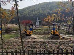 -宁波浙东大竹海景区