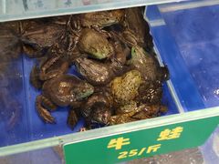 -笨笨甲甲鱼坊(蓝堡湾店)