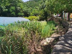 -天台山赤城山景区