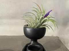 -尔本咖啡(星光荟店)