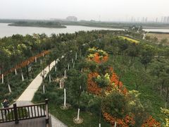 -天津东丽湖风景区