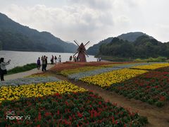 -广州市石门国家森林公园