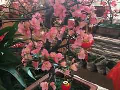-宝鸡东道花鸟鱼虫市场(吉利花园商场店)