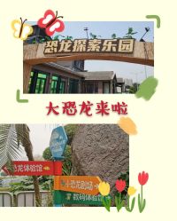 -恐龙探索乐园(磁器口店)