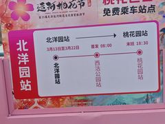 -桃花堤公园