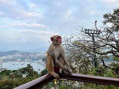-鹿回头风景区
