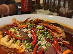 -船歌·鱼水饺青岛菜(闽江二路店)
