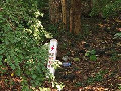 -上海佘山国家森林公园天马山园