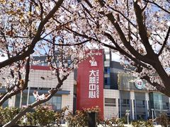 -皇茶会(泰鹏大厦店)