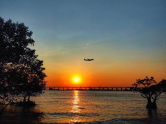 -宝安西湾红树林湿地公园