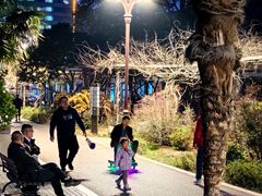 -洛阳市牡丹公园