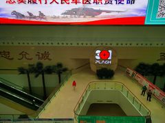 -中国人民解放军总医院(301医院)