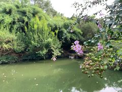 -汇龙潭