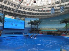 -海合安成都极地海洋公园