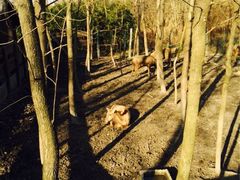 iphone_upload_pic-溱湖国家湿地公园